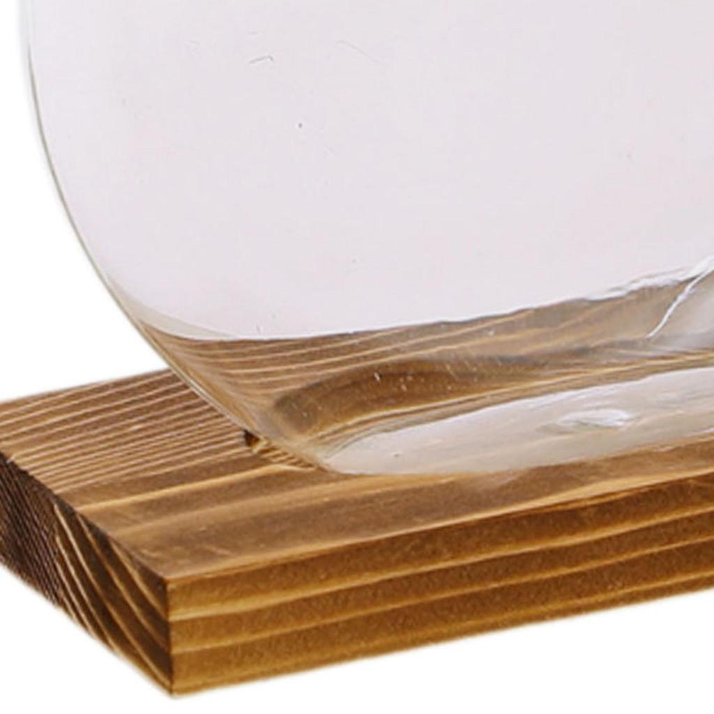 Glass Planter Terrarium Plants Propagation Station Transparent Flower Vase for Indoor Plants Office Party Living Room Garden