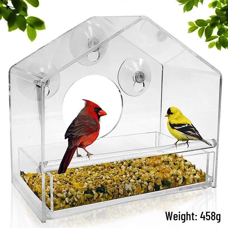 Clear Acrylic Wall-Mounted Bird Feeder with Suction Cups