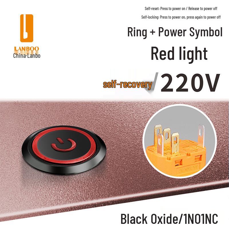 Lanbo 22A Stainless Steel Illuminated Self-Locking Momentary Push Button Elevator Switch