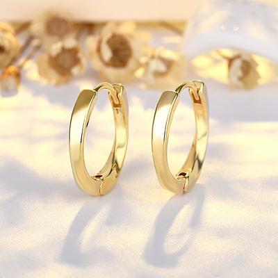 Earrings for Women with Niche Designs, Light Luxury Earrings, Gold-colored Ring Earrings, Earrings