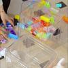 Multi-Functional Acrylic Storage Stool - Thickened PP Transparent for Living Room Bathroom Pet Supplies