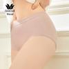 Wacoal WP5412 Seamless High-Waist Cotton Briefs