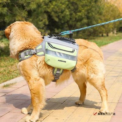 Psi – Obojky a vodítka pro psy