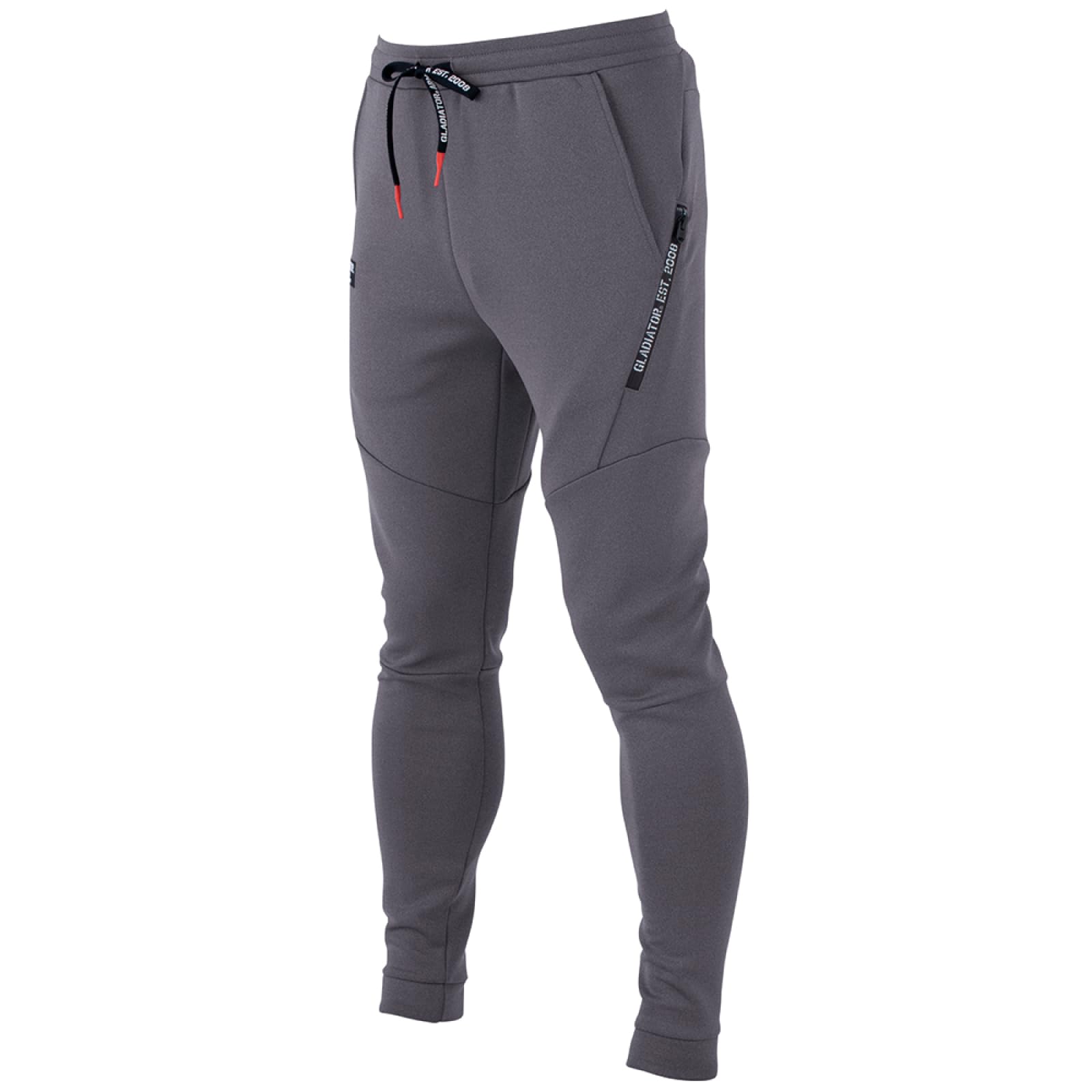 

Брюки джоггеры GLADIATOR, G-7503, Стрейч, Рабочий кэжуал на осень/зиму, CO-COS Gladiator, Мужские и женские, Размер 33, Мокрый серый, XL, со стикером Pro Uni