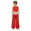 Boys Arab Prince Cosplay Costume 2Pcs: Loose Vest & Metallic Shiny Patchwork Bloomers Harem Pants Outfit for Halloween Party