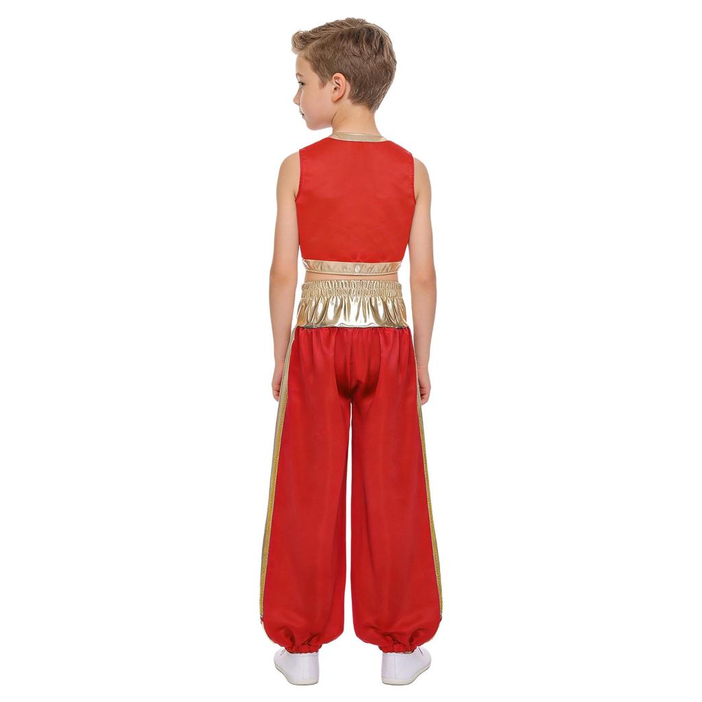 Boys Arab Prince Cosplay Costume 2Pcs: Loose Vest & Metallic Shiny Patchwork Bloomers Harem Pants Outfit for Halloween Party