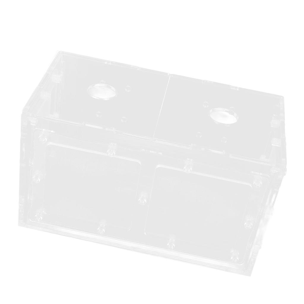 Fischzucht Isolierbox Transparente Netzseite Fischtank Inkubator für Aquarium Kleine Fische