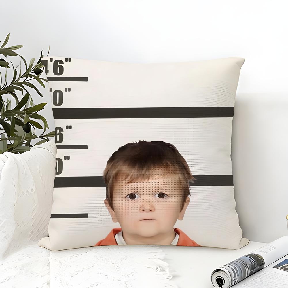 Viral Internet Meme Character Pillow Case linen pillow case sofa home decor cushion cover cushion cove