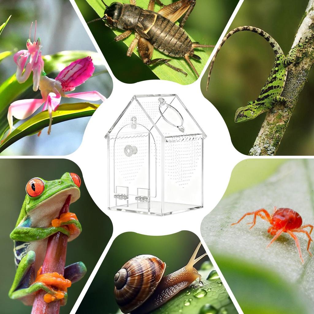 Spider Terrarium Escape-Proof Acrylic Habitat Isolation Tank Jumping Spider Terrarium for Small Pets Reptiles Animals Home