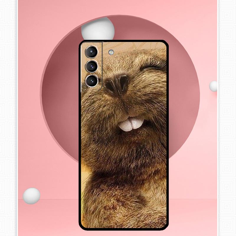 Animal Beaver Case For Samsung Galaxy S22 S23 S24 Ultra Note 20 10 S8 S9 S10 Plus S21 S20 FE Soft Cover