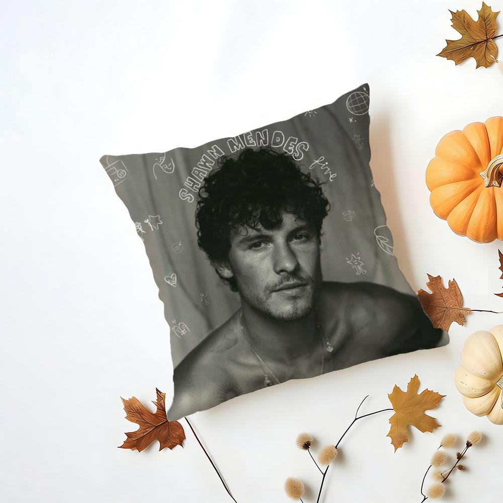 Singer SShawn Mendes Cushion Cover Iceland Washable Linen Soft  for Daily Sofa Bed Home Room Decor