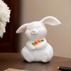Easters Bunnies Ornament Resins Rabbit Hugging Carrot Figurine Sculpture Tabletop Decors for Holiday Decoration Lover