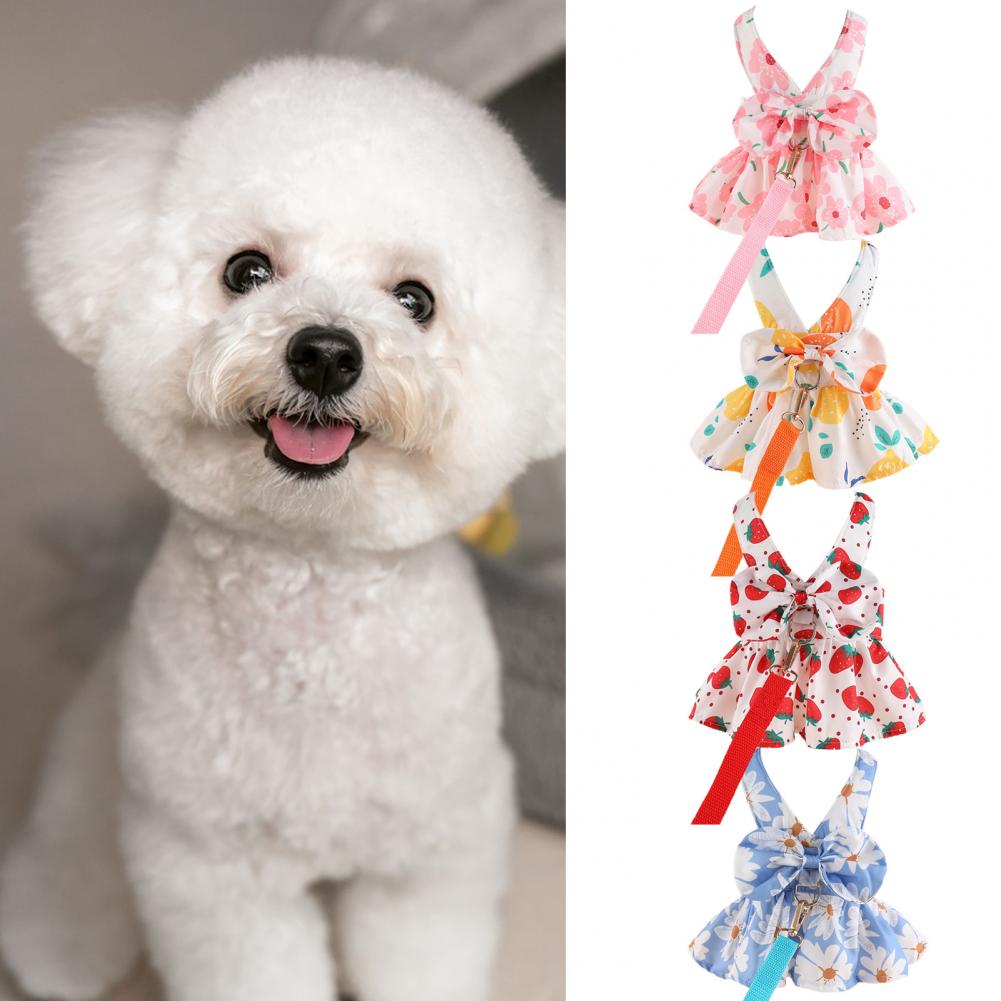 Cute Dog Dress Summer Outdoor Activities And Leash Set with Bowknot Decoration Pet Cat Princess Dress for Spring