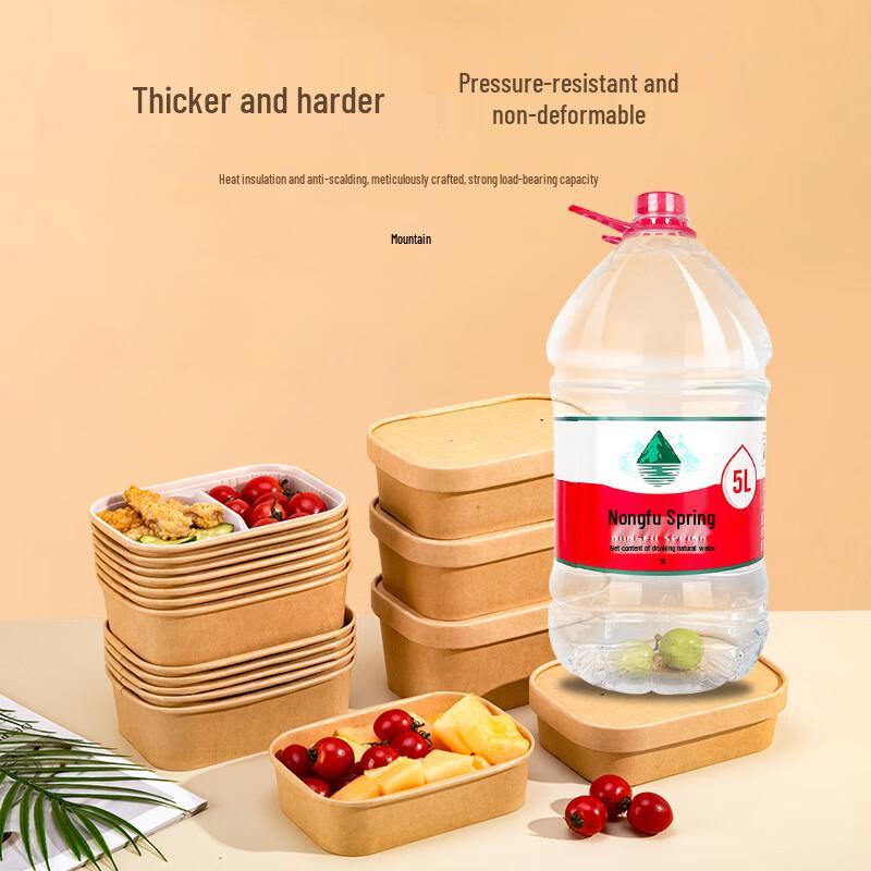 Disposable Rectangular Paper Food Container with Lid