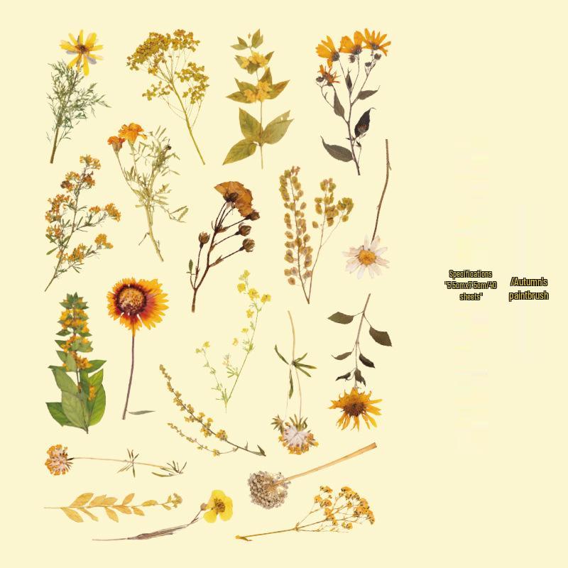 

Zaomao Floral Language PET Sticker Pack: Creative Flower Series for DIY Journals, 8 Styles Available
