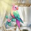 Acrylic Colorful Hummingbird Sun Catcher Hanging Pendant with Lanyard Easy To Install Bird Window Crafts Hanging Decor