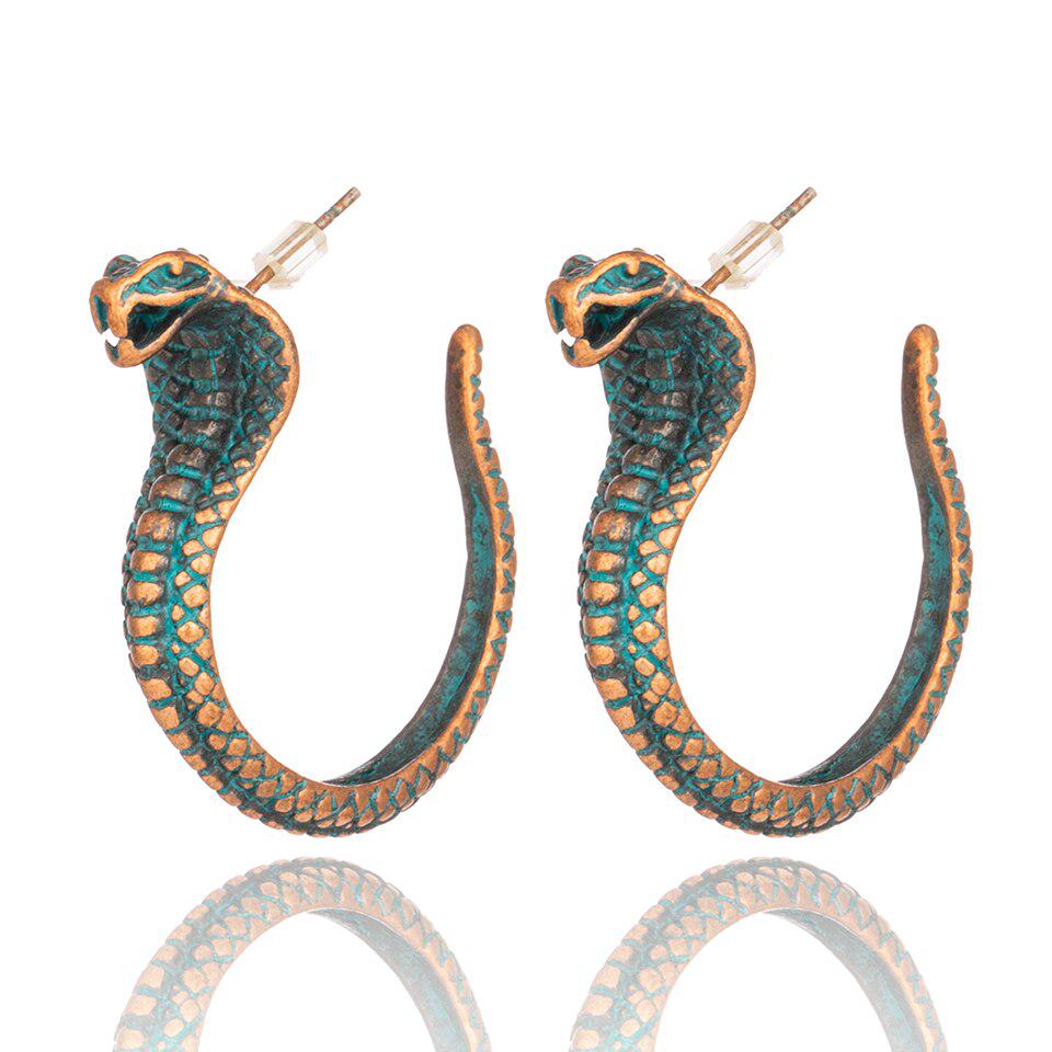 Snake Hang Earrings main image 1