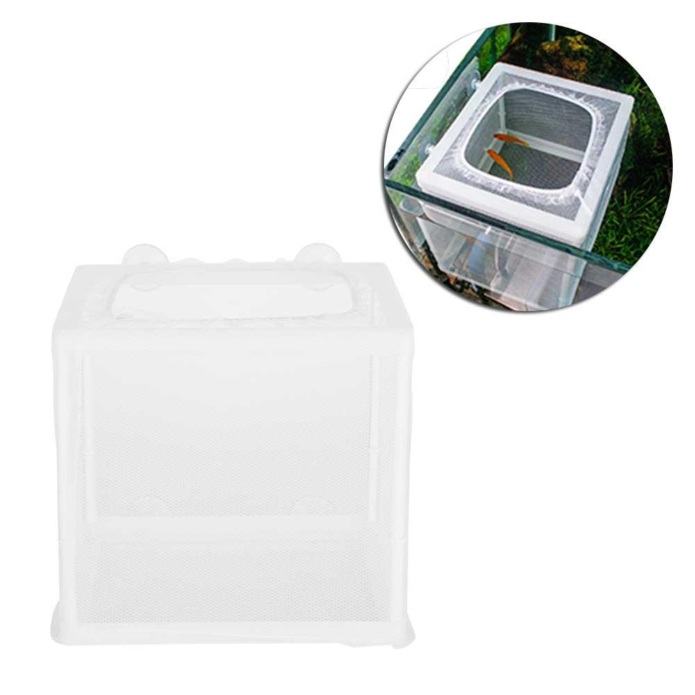Aquarium-Aufzuchtbox, kleine Fisch-Isolations-Inkubator-Aquarien-Zubehör