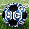 Arminia Bielefeld Indoor Soccer Ball Colorful Machine Stitched PVC Size 5 Team Training Competition Ready Durable High-Bounce Cool Sports Gift