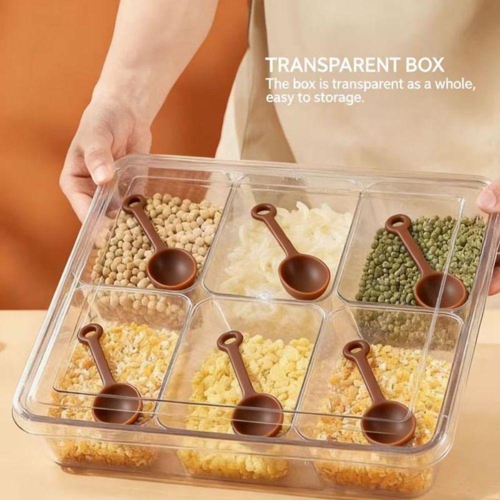 with Lid Ice Powder Box 6-Compartment Fruit Salad Box Seasoning Storage Box for Spices Powders