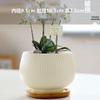 Lilang Ceramic Flower Pots with Trays and Bamboo Mats (Set of 2)
