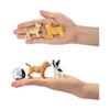 TOYMANY 12PCS Dog Figure Set Mini Animal Figure Dog Model Realistic Animal Model Realistic Animal Model Mini Model Popular Animal Toy Toy Birthday