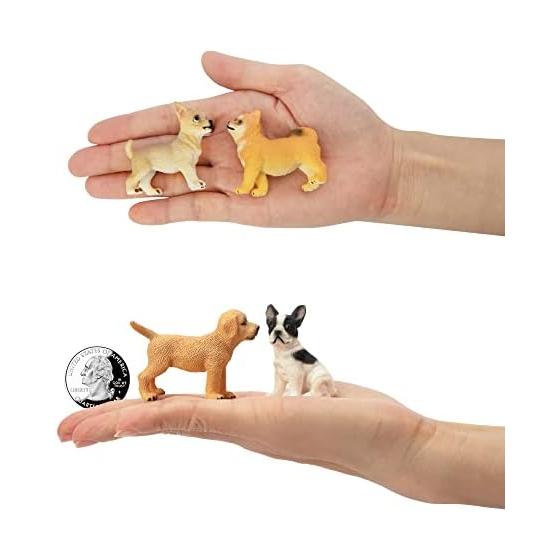 TOYMANY 12PCS Dog Figure Set Mini Animal Figure Dog Model Realistic Animal Model Realistic Animal Model Mini Model Popular Animal Toy Toy Birthday