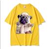 French Bulldog Funny Pibble Meme Tshirts Unisex Summer Tops Kawaii Cute T Shirt Unisex High Quality Cotton Tshirt Streetwear