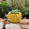 Durian Pot Small Durian Sculpture Flower Arrangement Pots Fruit Shape Bonsai Plant Holder Decorative Utensil Holder For Indoor