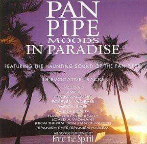 

CD FREE THE SPIRIT Pan Pipe Moods In Paradise 5319612 PolyGram TV 1996 UK CountryFolk Used