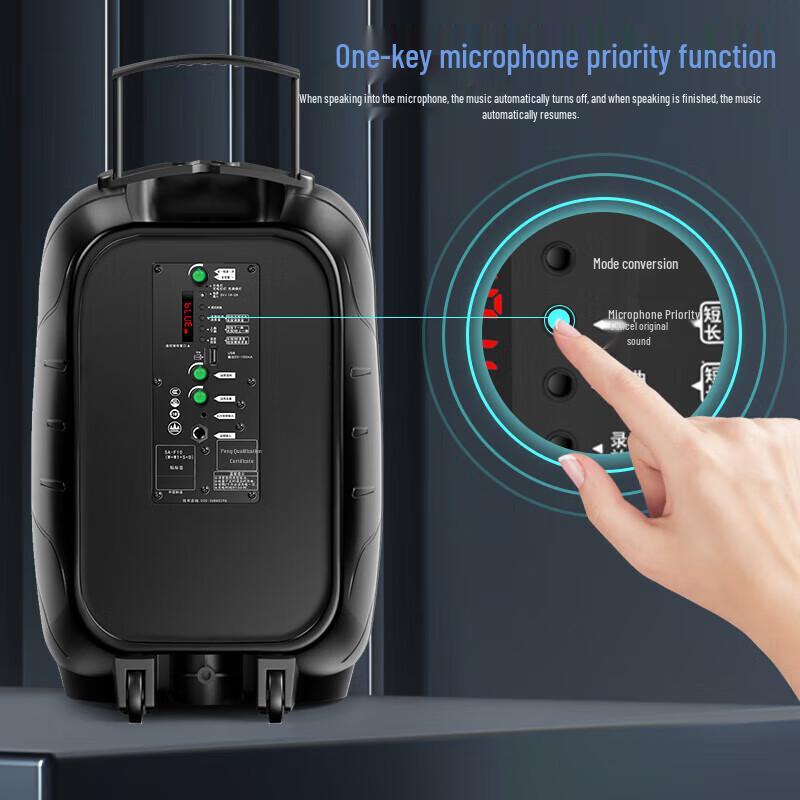 Suo Ai 12-inch Portable Outdoor Bluetooth K-song Speaker