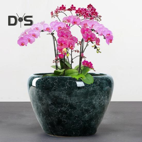 Ceramic Flowerpot Large Circular Opening Planter Pot Colored Glaze Finish Flower Pot with Drainage Hole for Indoor Outdoor Use
