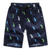 Men's Quick-Dry Beach Shorts: Summer Seaside Swim & Sports, Loose Five-Point Pants for Couples