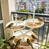 Outdoor Hanging Bird Feeder for Garden and Yard