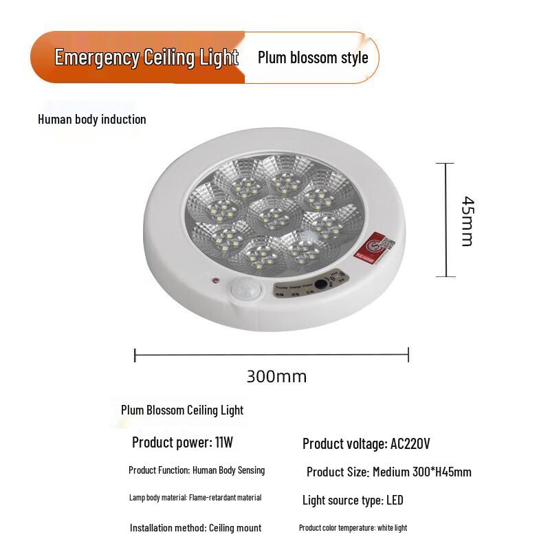 Siyi an Aurora Emergency Motion Sensor Ceiling Light 300mm