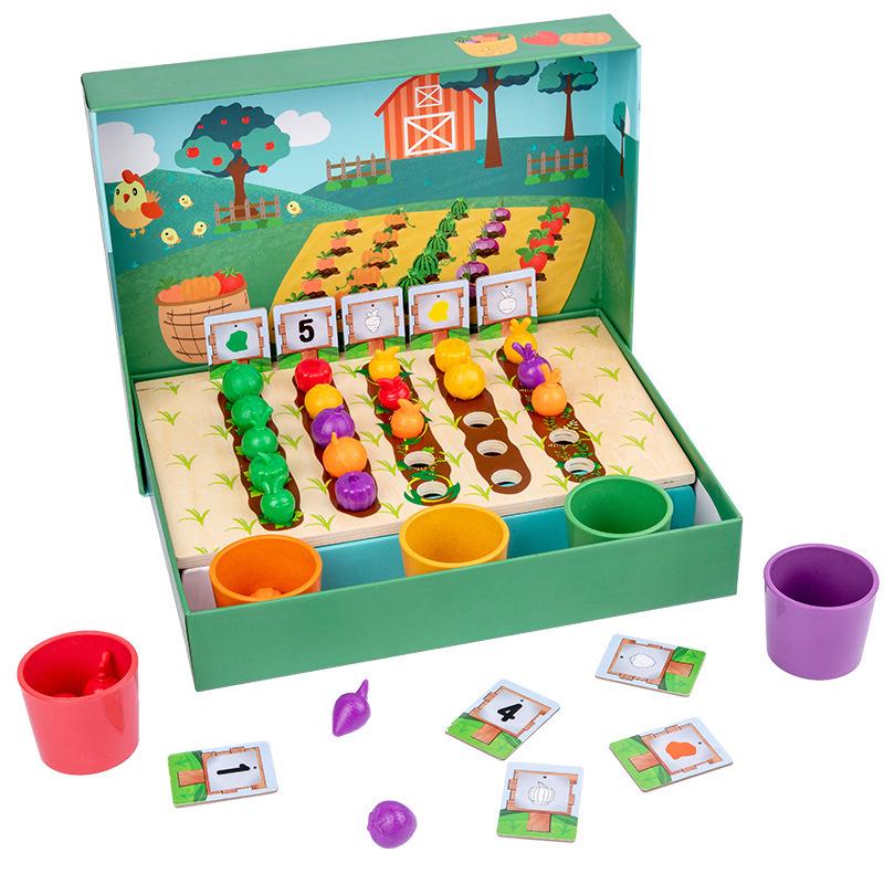 Wooden Fruit & Veggie Color Sorting Game for Kids