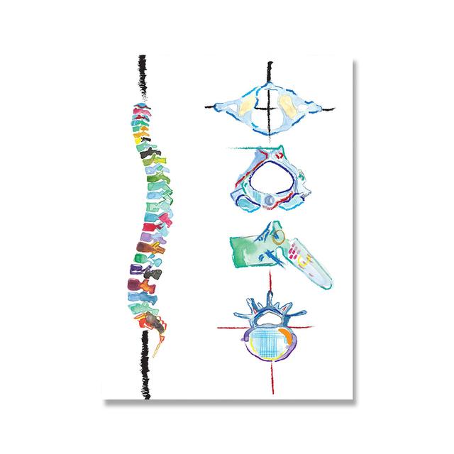 

Анатомия человеческого позвоночника, настенное искусство, печать на холсте, акварель, спинной мозг, биология, живопись, постер на позвоночник, медицинский художественный подарок, декор 21cm×30cm No Frame