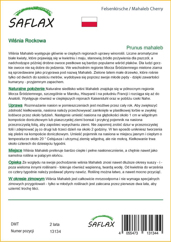 SAFLAX Mahaleb Cherry - 30 Seeds - Prunus Mahaleb