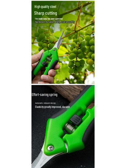 Multi-Use Pruning Scissors for Branches, Flowers, Vegetables, and Fruits