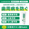 Gum and Dental Paste 120g ()