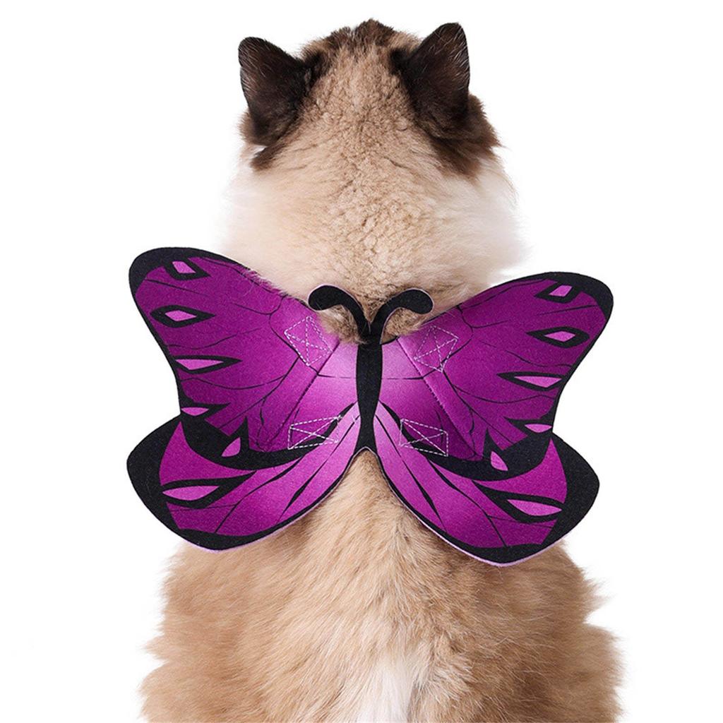 Cat Dog Colorful Butterfly Cosplay Costume Beautiful Butterfly Soft Comfortable Costume Accessories Dress Up Supplies