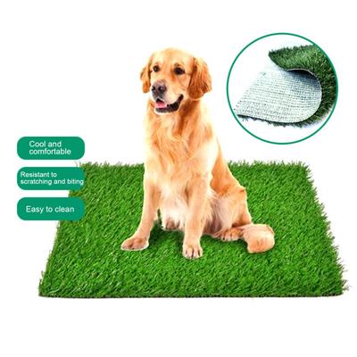 PE Simulated Lawn Artificial Grass Rug Indoor Outdoor Realistic Synthetic Grass with Drainage Holes Low Maintenance Dog Pee Mat Easy To Clean Balcony