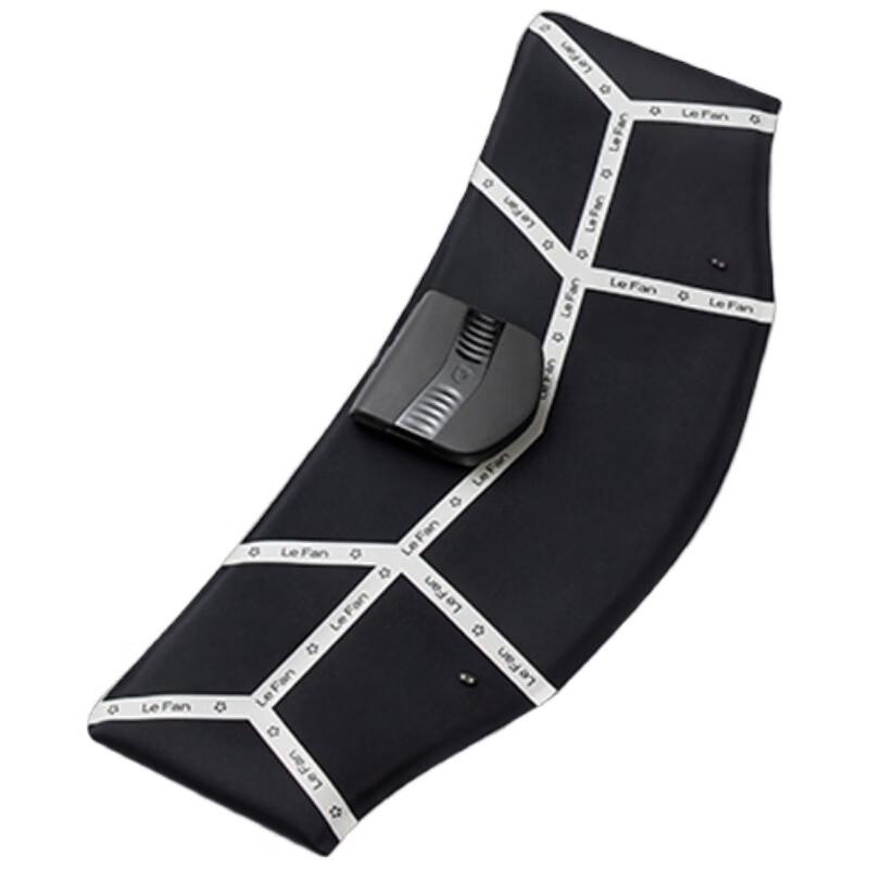 

LERAVAN EMS Waist & Abdominal Massager Belt