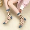 Women's Socks Thin Summer New Novelty Color Fashion Ladies Transparent Socks Breathable Korean Style Girls Flower Socks Modern