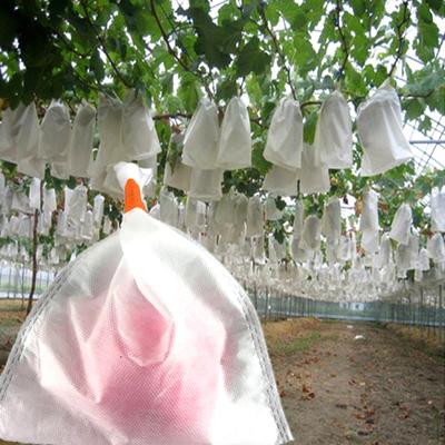Familie & Garten 100 Stück Traubengemüse Anti-Vogel-Schutz vor Insektennetzbeuteln Werkzeug
