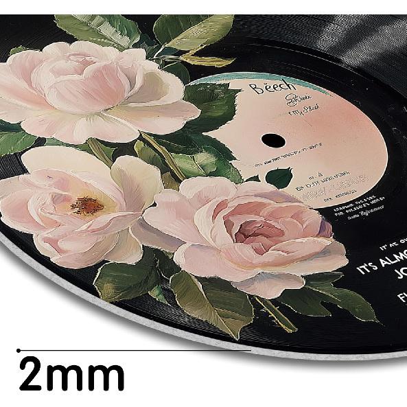 Hippie Decor, Posters for Room Aesthetic - Botanical Wall Art, Record Decor, 4 Pcs 12"