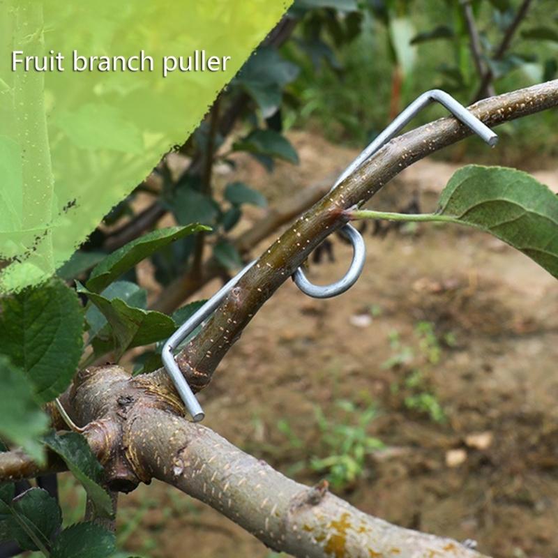 20/50/100Pcs Fruit Tree Branch Fruit Tree Branch Spreader Tree Branch Spreader Puller Tying Machine Farm Tools