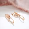 Luxury Square Drop Earrings For Women Unusual  Rose Gold Natural Zircon Geometry Earrings Fashion Minimalist Jewelry