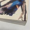 [USED] Fashion Illustration Next Laird Borrelli