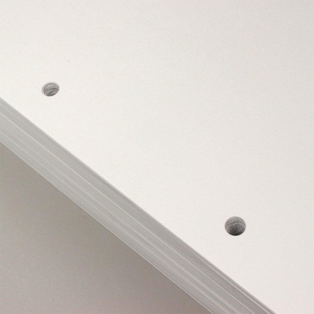 KOKUYO PPC common 2 500 paper, paper, holes, A4, sheets, KB-39H2